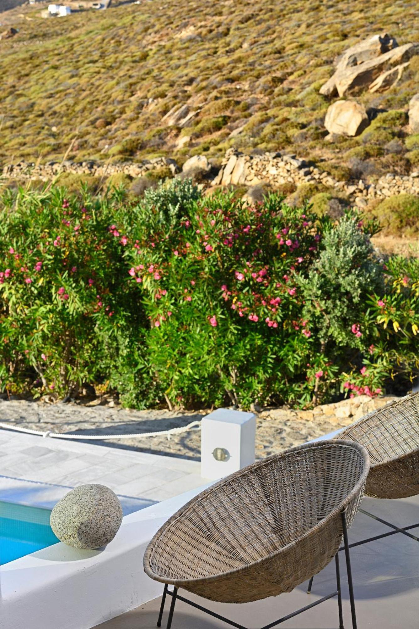 Mykonos Dream Villas 法蒂亚 外观 照片